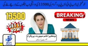 BISP 13500 Payment