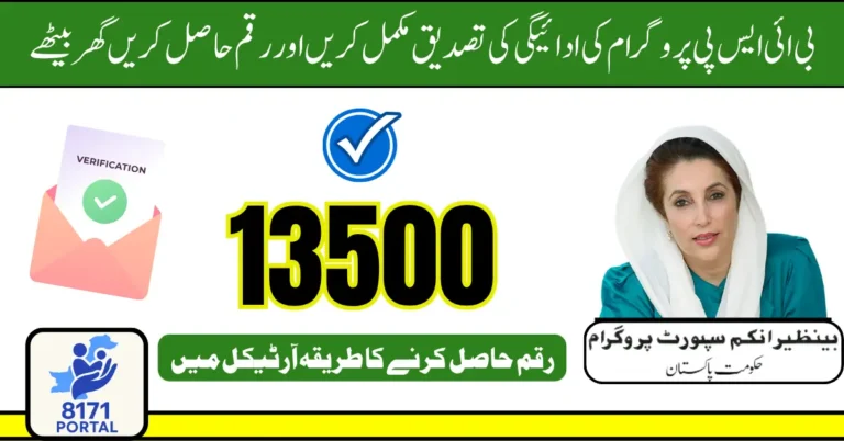 BISP 8171 Payment Verification