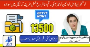 BISP 8171 Payment Phase 2