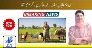 CM Punjab Livestock Program