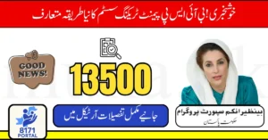 BISP Payment Tracking CNIC 2025