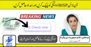 Online BISP Payment Check CNIC 2025